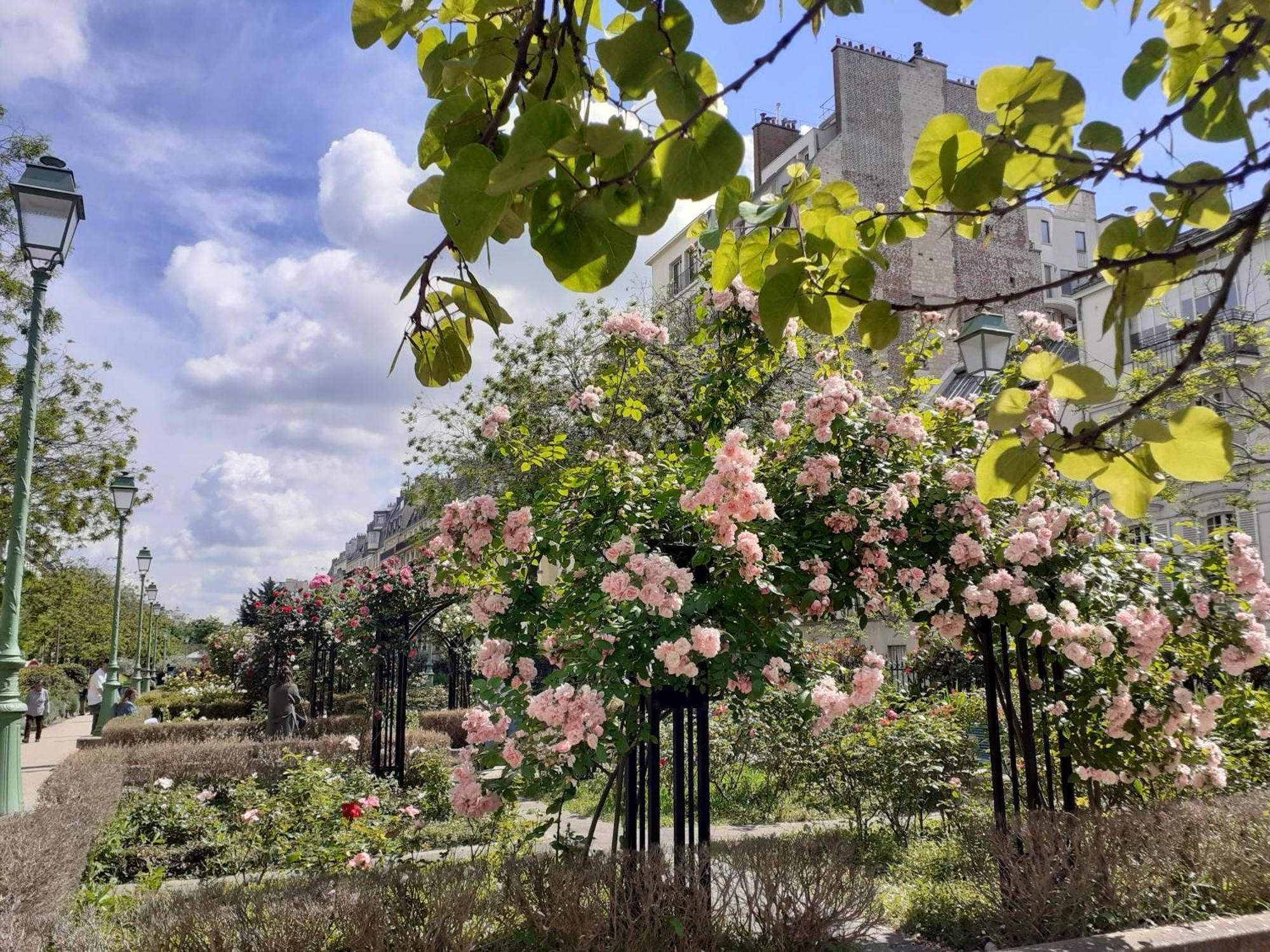 Bed and Breakfast Marie Et Igor Paris Exterior foto